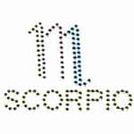 The word Scorpio is spelled out with Rhinestud Scorpio Zodiac Sign Iron On Applique.