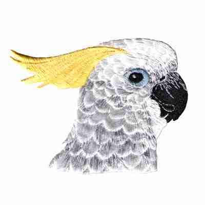 A white Cockatoo Head Birds Iron On Parrot Patch with yellow feathers on a white background.