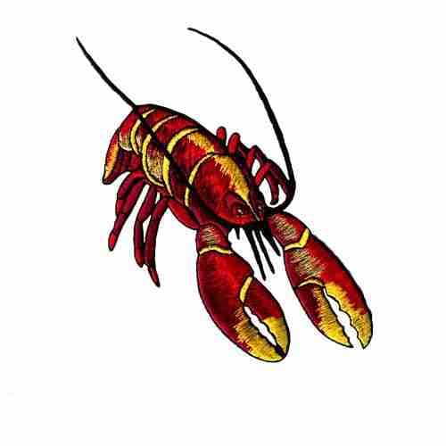 A drawing of a Red Lobster Seafood Iron On Patch on a white background.