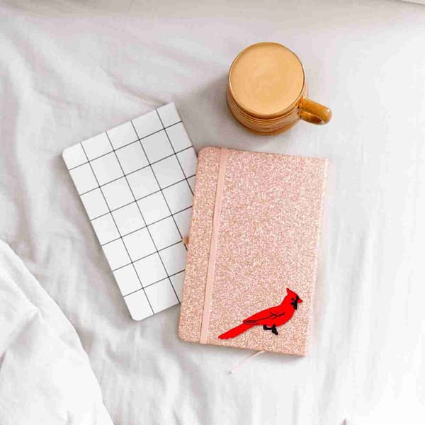 A pink notebook, cup of coffee and a pack of Red Cardinal Patches (5-Pack) Bird Embroidered Iron on Patch Appliques on a bed.