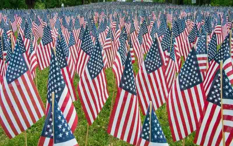 A field of american flags in a grassy area.