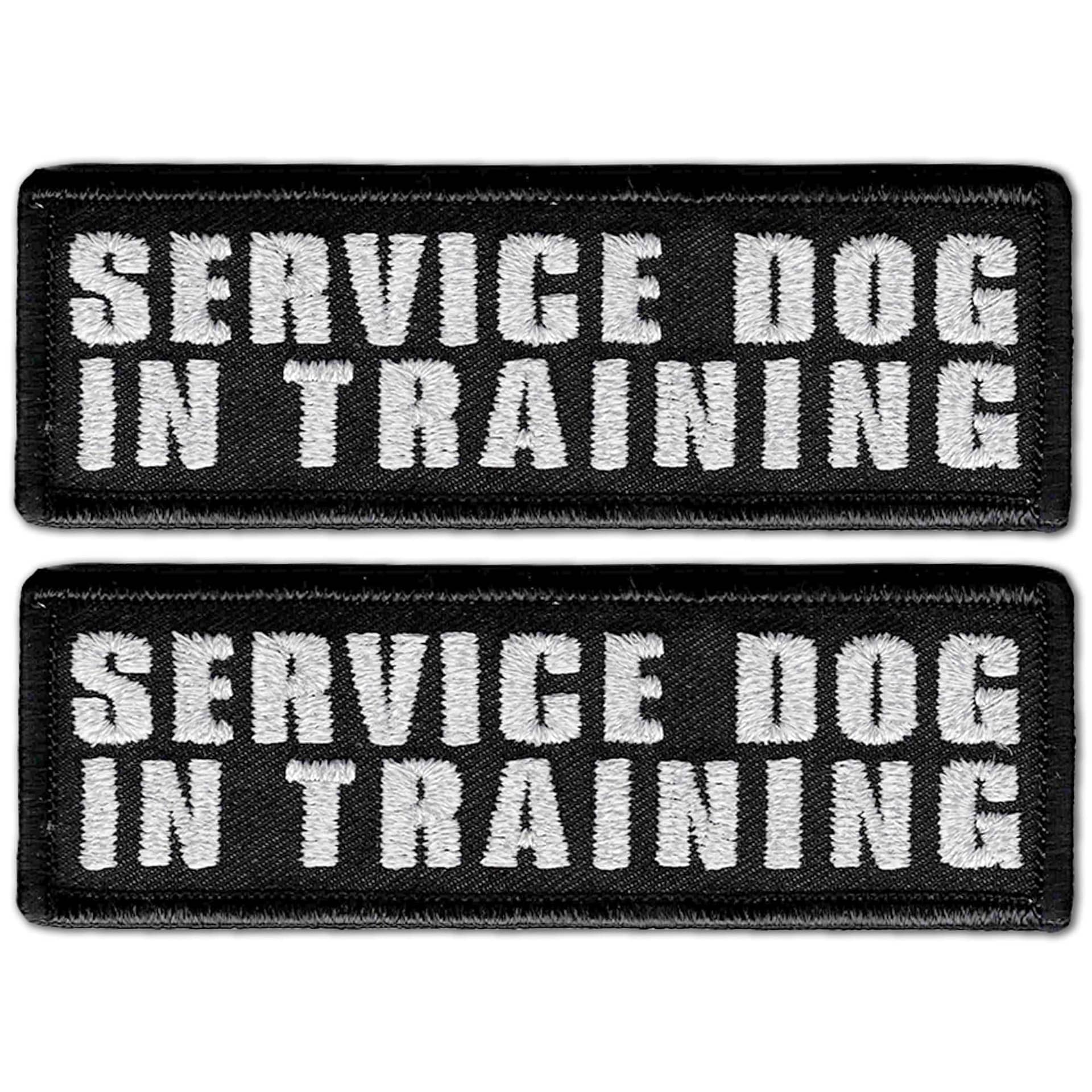 Therapy dog in training hot sale patch