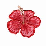 Red-Hibiscus-flower-patch