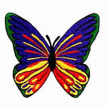 https://laughinglizards.com/patches/butterflies-large-brightly-colored-spreadwing-butterfly-iron-o/