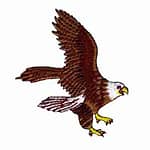 Bald Eagle Midflight Embroidered Iron On Patch