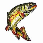 Golden Trout Fish Iron On Patch