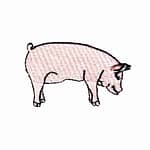 Pig Iron On Patch